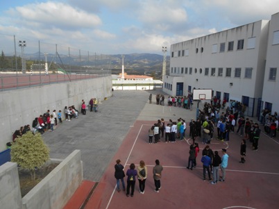 dia de la paz 16-3